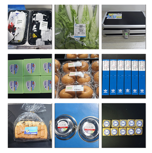 Orshang Orshang Machine d'impression et d'étiquetage d'étiquettes supérieures entièrement automatique pour les boîtes de papier de livre de cartons de dépliants de courrier plat - Product Image 4