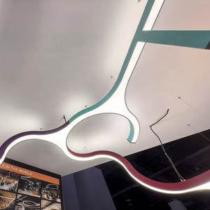 Plafonnier LED RGB Commercial <span class=keywords><strong>Aquarius</strong></span> Créatif Ovale Petit Aluminium DMX512 Gradation Télécommande Installation 3D - Product Image 4