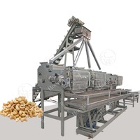 Tanzanie # Décortiqueuse de noix de cajou brute de 300 kg pour la ligne de production de noix de cajou