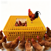 Nouvelle cage de transport écologique pour volailles, panier de transport en plastique détachable pour canards HJ-DN015