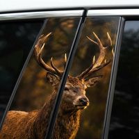 Pegatinas para el pilar B del coche con diseño de toro musculoso, calcomanías realistas de animales para el marco de la ventana, 1 año de garantía, impermeables, de PVC brillante, para decoración exterior de automóviles.
