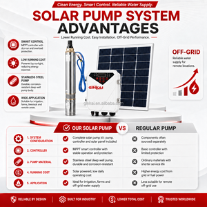 Pompe à eau solaire, pompe à eau submersible alimentée par l'énergie solaire pour l'irrigation de surface en agriculture, <span class=keywords><strong>prix</strong></span> Pompe à Eau Solaire - Product Image 3