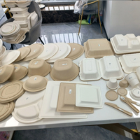 Fabricant de bagasse à tacos Boîte d'emballage alimentaire à 3 compartiments avec logo personnalisé en matériau naturel biodégradable