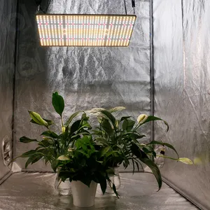 100 Watt Dimmable Led Grow Light Led Plate 100 Watt Grow Lights Board for Tent Planting
