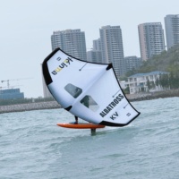 Aile de surf en polyester pour foil, directement de l'usine Kinma, pour le windsurf et le wing foil
