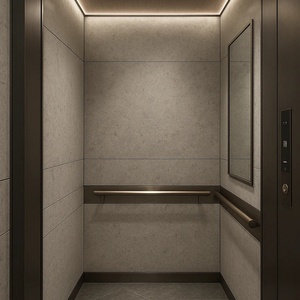 Ascenseur commercial pour 10 personnes, design moderne à entraînement AC, ascenseurs pour passagers d'occasion à prix compétitif - Product Image 1