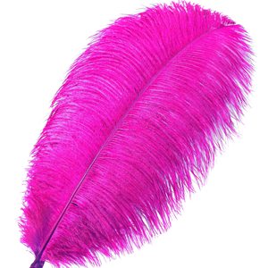 天然ダチョウ羽プルームバルク16-30インチ (40-75cm) - Product Image 2