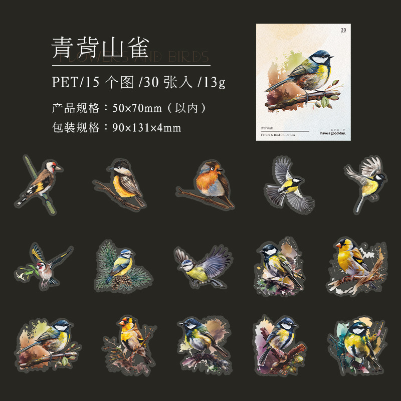 C Green Back Titmouse