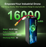 Baterai Drone Li-ion Semi-solid 22.2V 5C, Densitas Energi Tinggi untuk Perlindungan Tanaman Pertanian & UAV Survei