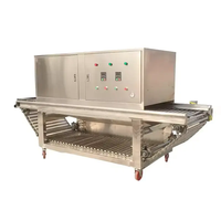 Dezoton Commerciële Uienschilmachine 300-800kg per uur SS304 RVS Hoge Efficiëntie Automatische Uienschilmachine