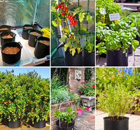 1 2 3 5 7 10 gallons sac cocopeat sacs de culture pots de pommes de terre conteneurs en tissu pour la plantation pot de culture en tissu