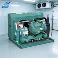 Unité de condensation à compresseur à piston semi-hermétique refroidi par air de 5 à 50 CV pour chambres froides de réfrigération, moteur, pompe et engrenage