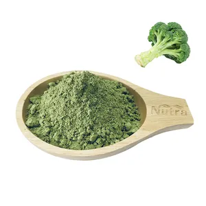 Manufacturers supply broccoli sprouts powder organic green food no additives broccoli sprouts powder/extract powder