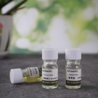 Recharge d'huile aromatique pure naturelle pour diffuseur sans eau 5ml – Bouteille écologique pour une intensification de parfum longue durée et personnalisable