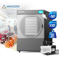 Airwoods 20Kg Industriële Automatische Vriesdrogermachine Voor Groenten En Fruit Vacuümdroogapparatuur Voor Fruitjam