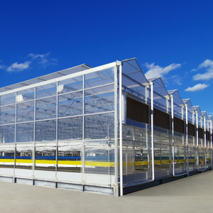 Serra Agricola Personalizzata con Struttura in Acciaio Zincato a Caldo Tipo Venlo - Product Image 2