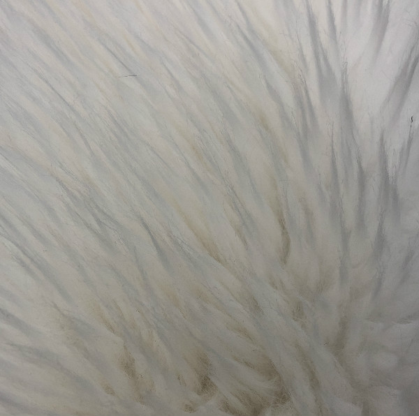 Оптовая продажа, модный дизайн, горячая Распродажа, пушистая плюшевая ткань из искусственного меха