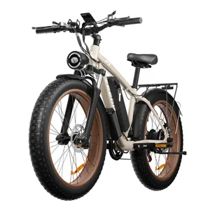Hot Sale Electric Bike Adult Mountain 26 Inch 1000w E Bikes Electric Bicycle 48V 16ah Lithium Battery Electric Fat Tire Bike