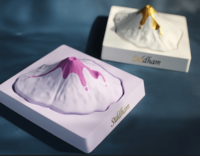 Petit gypse enneigé ornements d'aromathérapie bricolage parfum de maison désodorisant diffuseur d'huile cadeau de Promotion
