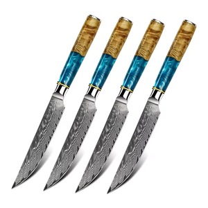 Juego de cuchillos para carne IOKO de 4 piezas, 67 capas de acero de Damasco, cuchillo de carnicero estilo japonés, mango de resina de madera de nogal, juego de cuchillos de chef para carne de res de Damasco - Product Image 1