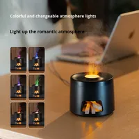 Poêle à bois créative transfrontalière 2026, diffuseur d'aromathérapie, lumière de flamme rétro colorée, humidificateur