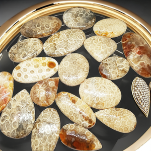 Cristales de Coral Fossilizado Natural de Primera Calidad, Mixtos, Lisos, Cabujón, Piedras Preciosas Sueltas, Hechas a Mano, para la Fabricación de Joyería, Suministro al por Mayor - Product Image 2