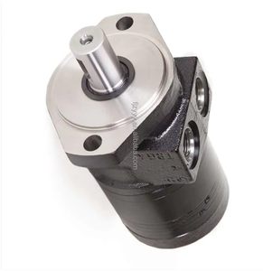 Moteur à piston hydraulique TE0100CW260AAAB TE0130CW260AAAB TE0165CW260AAAB TE0195CW260AAAB TE0390LW120AAAB - Product Image 6