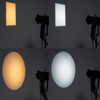 Mini LED 40W 2-en-1 Blanc Chaud ou Froid ou 4-en-1 RGBL DMX 15 ° -30 °   Projecteur Gobo Zoom pour Musées et Théâtres, Éclairage Elliptique