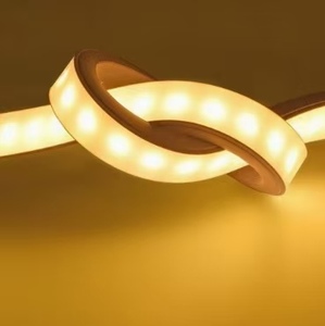 ไฟแถบ LED แบบยืดหยุ่น สีเดียว ควบคุมด้วยรีโมท USB Epistar SMD2835 60D DC12V/24V IP20 ปรับความสว่างได้ - Product Image 1