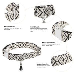 Beste Qualität Neues Hunde halsband Luxus Custom Personal isiertes Logo für kleine große Hunde Training Metalls chnalle Langlebige Haustier halsbänder - Product Image 2