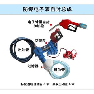 Pompe de distribution diesel/essence auto-amorçante électrique DC portuaire de Wenzhou 12V/24V, norme antidéflagrante - Product Image 2