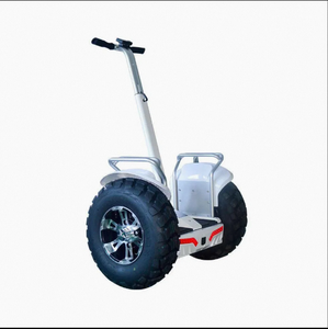Nuevo Eco-Rider Ce, Scooter Eléctrico Inteligente con Bluetooth, Garantía de 3 Años, Marco de Aluminio Personalizable, Plástico, OBM, OEM, ODM - Product Image 2
