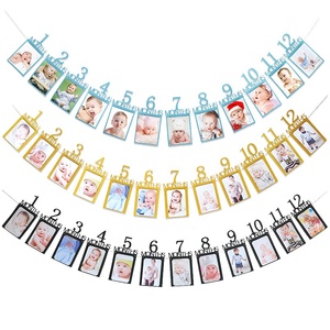 1st cumpleaños Banner de foto recién nacido a 12 meses hito mensual fotografía Bunting Garland para el primer cumpleaños decoración - Product Image 1