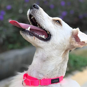 <span class=keywords><strong>Collar</strong></span> de perro ajustable sin estrangulamiento Martingale de nailon y poliéster para entrenamiento, viene con varios colores - Product Image 4