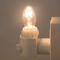 Ampoule de remplacement à incandescence 15 watts C7 pour lampes à sel de l'Himalaya, douille E12, base candélabre
