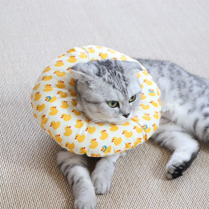 เป็ดเหลือง