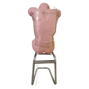 Maniquí de Entrenamiento Avanzado para Prácticas de Punción Médica (Posición Sentada Inclinada hacia Adelante) - Product Image 1