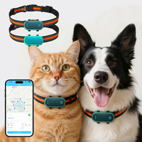 Qcool Ip67 Mini 4g Monitor Detak Jantung Hewan Peliharaan Deteksi Darah Pemantauan Kesehatan & Aktivitas Kalung Pelacak GPS Kecil untuk Anjing