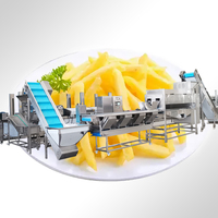 Prix de la ligne de production de frites surgelées de pommes de terre à petite échelle automatique TCA