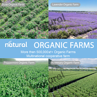OEM/ODM Minyak Esensial Lavender Organik Alami 100% Murni Tanpa Pengencer untuk Aromaterapi Rumah dan Perawatan Kulit