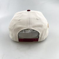 Gorra de Béisbol de Sarga de Algodón Bicolor al por Mayor, Gorras Trucker con Logotipo Bordado 3D Personalizado, Gorras Snapback Deportivas Vintage para Hombre