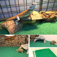 Tapis de Reptile Dragon à double couche, accessoire de literie, à revêtement de Terrarium, carpette de Cage, fournitures pour lézard, tortue, léopard, Gecko