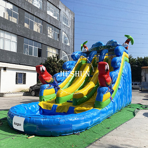 Groothandel Grote 15ft Tall Papegaai Slide Kids Dual Slide Opblaasbare Glijbaan Met Zwembad Te Koop - Product Image 3