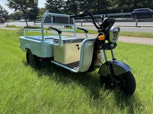 Tricycle électrique à double fonction pour le transport de marchandises <span class=keywords><strong>et</strong></span> de passagers, robuste, pour le transport en supermarché/la vente ambulante/l'agriculture/l'usage domestique - Product Image 5