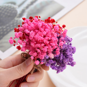 Mini Colorful Dried Baby's Breath Bouquet <b>Diy</b> Craft <b>Kit</b> For Home Decor Wall Art Accessories Yiwu Origin - Product Image 4