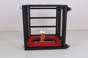 Thème de sexe meubles métal SM Bondage contraintes esclave Cosplay chien Cage pour BDSM Sexuales jeux Bondage dispositif - Product Image 4