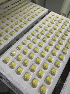 Bonbons Hyttis de style suédois, sans gélatine, gommes végétaliennes - Product Image 6