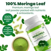 Kapsul Ekstrak Daun Moringa Wright Life 60 Kapsul Formula Antioksidan untuk Dewasa - Penjualan Langsung Pabrik & Dukungan OEM