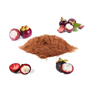 Poudre d'extrait de mangoustan de qualité alimentaire de haute qualité 10.0 ~ 40.0% Mangostin HPLC testé approvisionnement en gros tambours emballés sous vide - Product Image 2