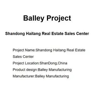 プロジェクト-Shandong Zhouhe不動産販売センター